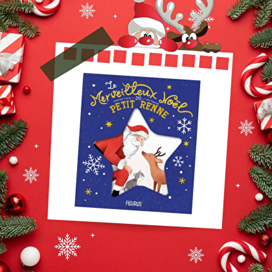 livre Noël